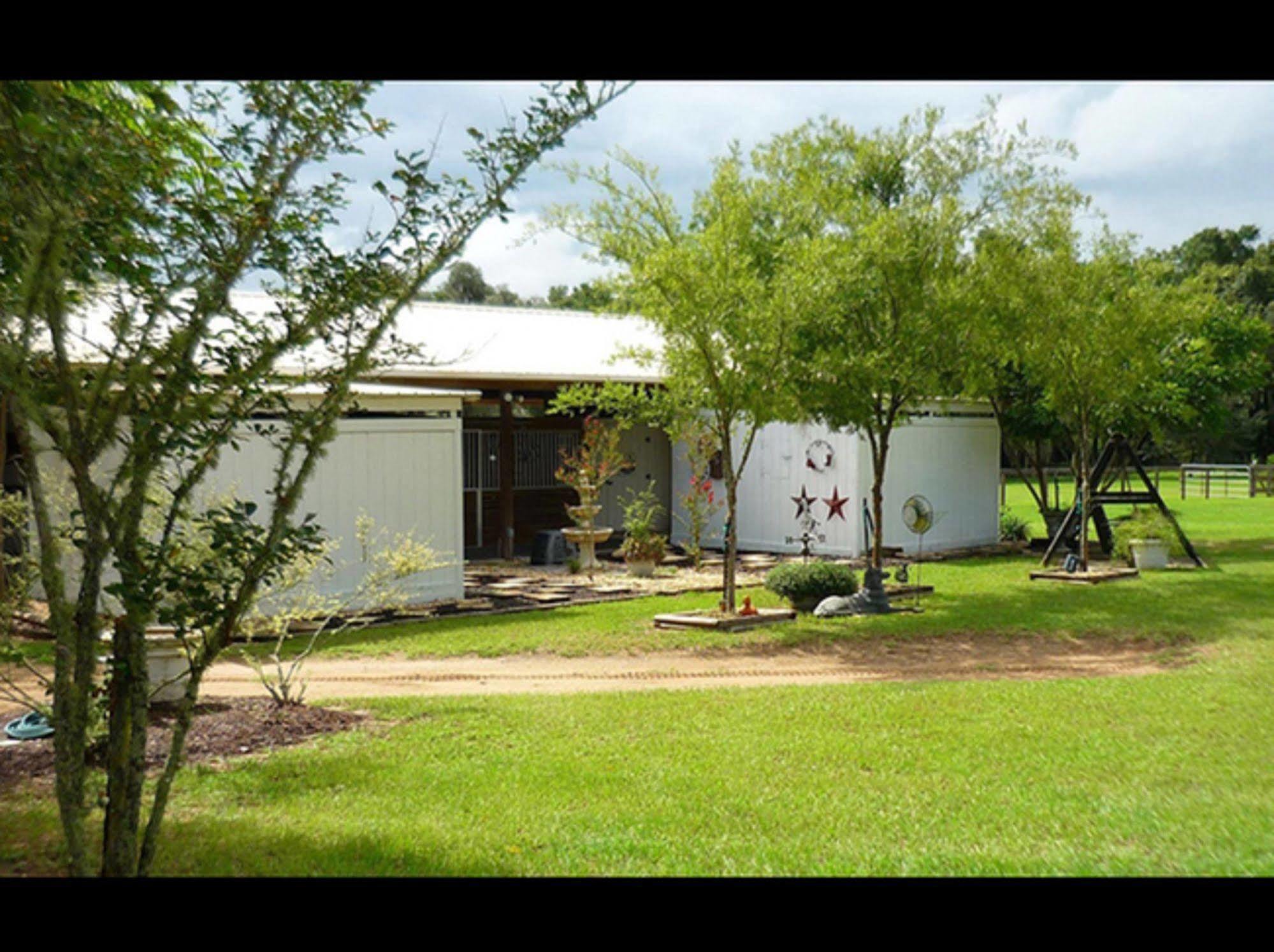 Rock Pointe Ranch Bed & Breakfast Floral City Ngoại thất bức ảnh